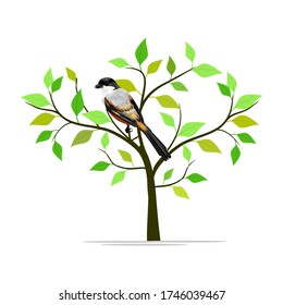 vector de árboles y hojas en otoño hay un ave aislada con fondo blanco