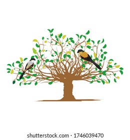 vector of trees and leaves in autumn there is an isolated bird with a white background