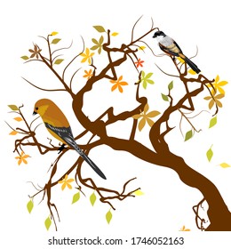 vector of trees and leaves in autumn there is an isolated bird with a white background