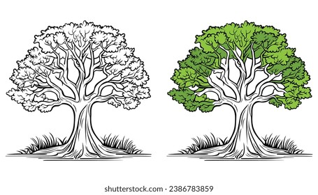 Vector trees outline on white background