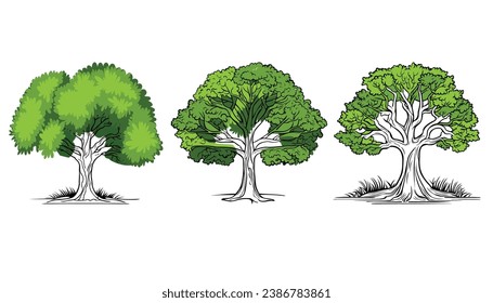 Vector trees outline on white background