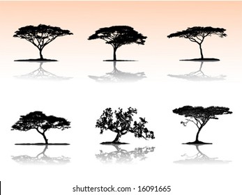 Vector trees with reflection