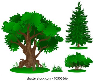 vector trees series (in summer, autumn, spring, winter)