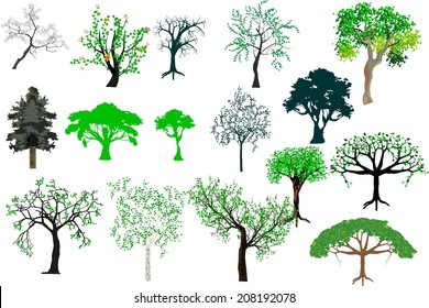 Vector trees set. 
