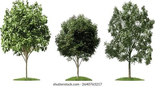 Vector trees set, landscaping clipart, transparent background, nature trees, nature clipart, eco friendly trees, natural trees, outdoor scenery, tree illustration
