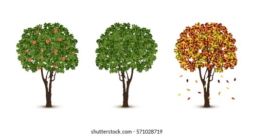 Vector trees set on white background