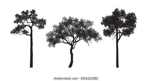 Vector of trees set, silhouette icons on white background. tree flat icon for apps and websites. 
