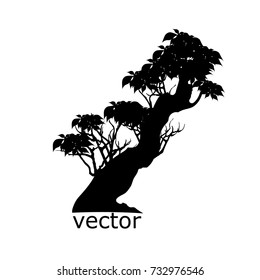 Vector of trees, silhouette icons on white background. 