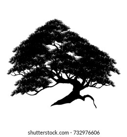 Vector of trees, silhouette icons on white background. 