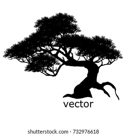 Vector of trees, silhouette icons on white background. 