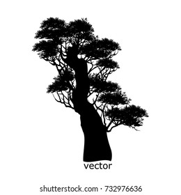 Vector of trees, silhouette icons on white background. 
