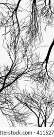 Vector trees silhouette. Tree isolated on white background vector illustration 
