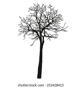 Vector trees silhouettes.