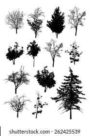 Vector trees in silhouettes
