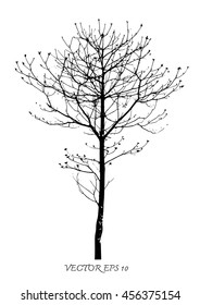 Vector  of  trees silhouettes