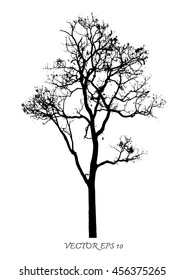 Vector  of  trees silhouettes