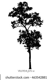 Vector of trees silhouettes