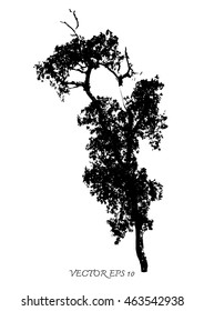 Vector of trees silhouettes