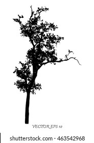 Vector of trees silhouettes