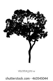Vector of trees silhouettes