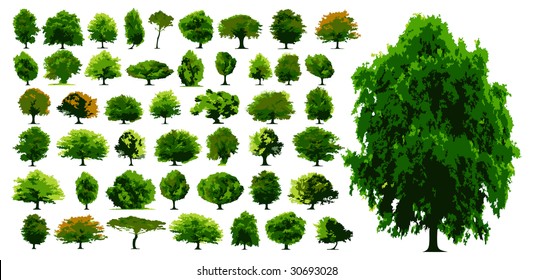 Vector trees - This image is a vector illustration and can be scaled to any size without loss of resolution