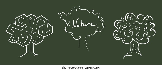 Vector trees in white color on a green background. Tree silhouette. Contour stylized image of trees.