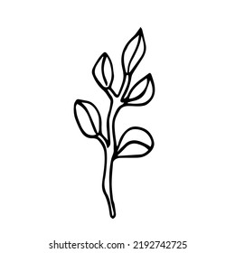 Vector trend branch with oval leaves. Botanical illustration in a minimalist style
