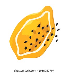 vector trendy bright juicy color illustration of hand drawn lemon isolated on white background. can be used as an advertisement for fruits, fruit juices, for various types of printing, design elements