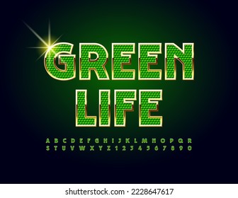 Vector trendy emblem Green Life. Artistic Font. Chic Alphabet Letters and Numbers