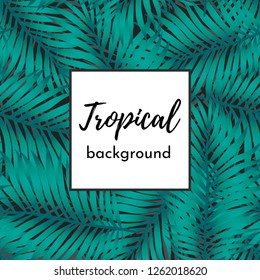 Vector trendy, fashionable seamless pattern. Big green exotic tropical palm leaves of banana or coconut trees on a black background. Frame for text