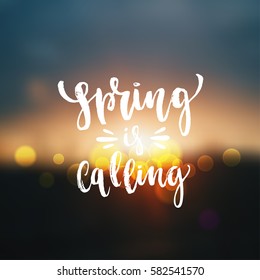 Vector trendy hand lettering poster. Hand drawn calligraphy "spring vibes" 