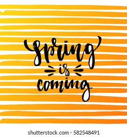 Vector trendy hand lettering poster. Hand drawn calligraphy "spring  is coming" 