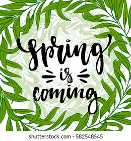 Vector trendy hand lettering poster. Hand drawn calligraphy "spring  is coming" 