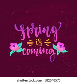 Vector trendy hand lettering poster. Hand drawn calligraphy "spring  is coming" 