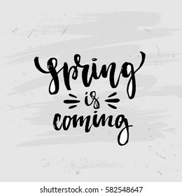 Vector trendy hand lettering poster. Hand drawn calligraphy "spring  is coming" 