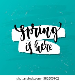 Vector trendy hand lettering poster. Hand drawn calligraphy " spring is here" 