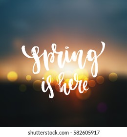  Vector trendy hand lettering poster. Hand drawn calligraphy " spring is here" 