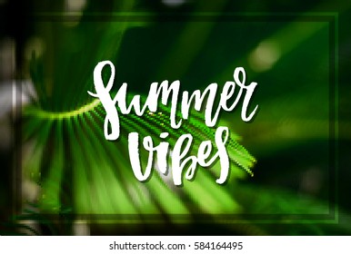 Vector trendy hand lettering poster. Hand drawn calligraphy "summer vibes"