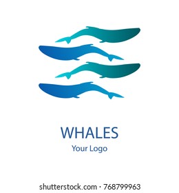 Vector trendy marine logo of 4 whales or orcas in deep water ocean or sea in modern gradient colors. Can be used for sea store, ocean products, eco company, camp or business. Flat style