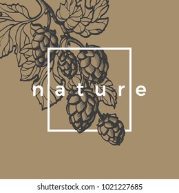 Vector trendy template of hop branch with leaf and cone. Botanical hand draw sketch. Realistic art symbol. Eco food in geometric frame. Nature herb background Organic drink, beer Vintage illustration 