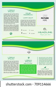Vector tri fold brochure template with green waves