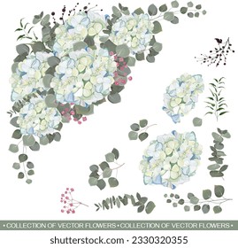 Vector triangle composition on white background of flowers and plants. Light blue hydrangea, eucalyptus, gypsophila, green plants and leaves. All elements are isolated on white background 