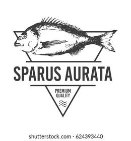 Vector triangular Sea Sign Elements can be used as Logo or Icon in premium quality. Gilt head bream. Dorade, Sparus Aurata