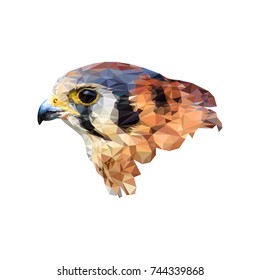 Peregrine Face Stock Illustrations Images Vectors