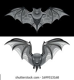 Vector Tribal Decorative Set of Bats. Isolated Animal On Background