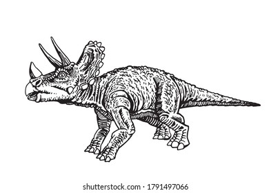 Vector triceratops  isolated on white background, graphical illustration