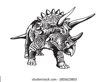 Triceratops vectoriales aislados en fondo blanco, ilustración gráfica de dinosaurio