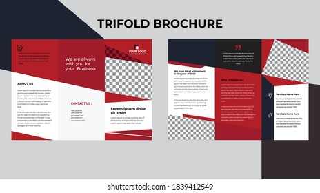 vector trifold brochure design, brochure design