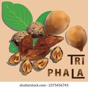 
Vector Triphala, 3 Früchte, bestehend aus Samo Phi Phek, Thai Samo und Gooseberry, kombiniert zu einer pflanzlichen Medizin, die hilft, die Gesundheit während des Sommers zu erhalten.