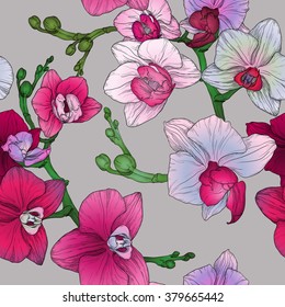 Vector tropic floral seamless pattern with hand drawing orchid flowers